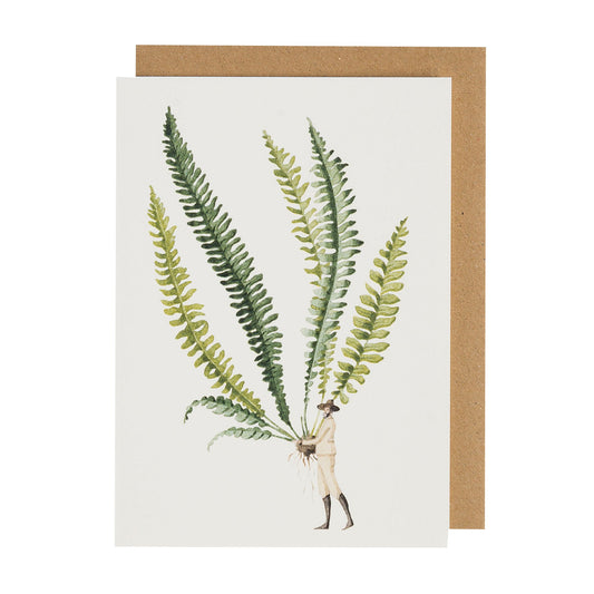 environmentally sustainable paper, compostable packaging, recycled paper, made in england, illustration, ferns