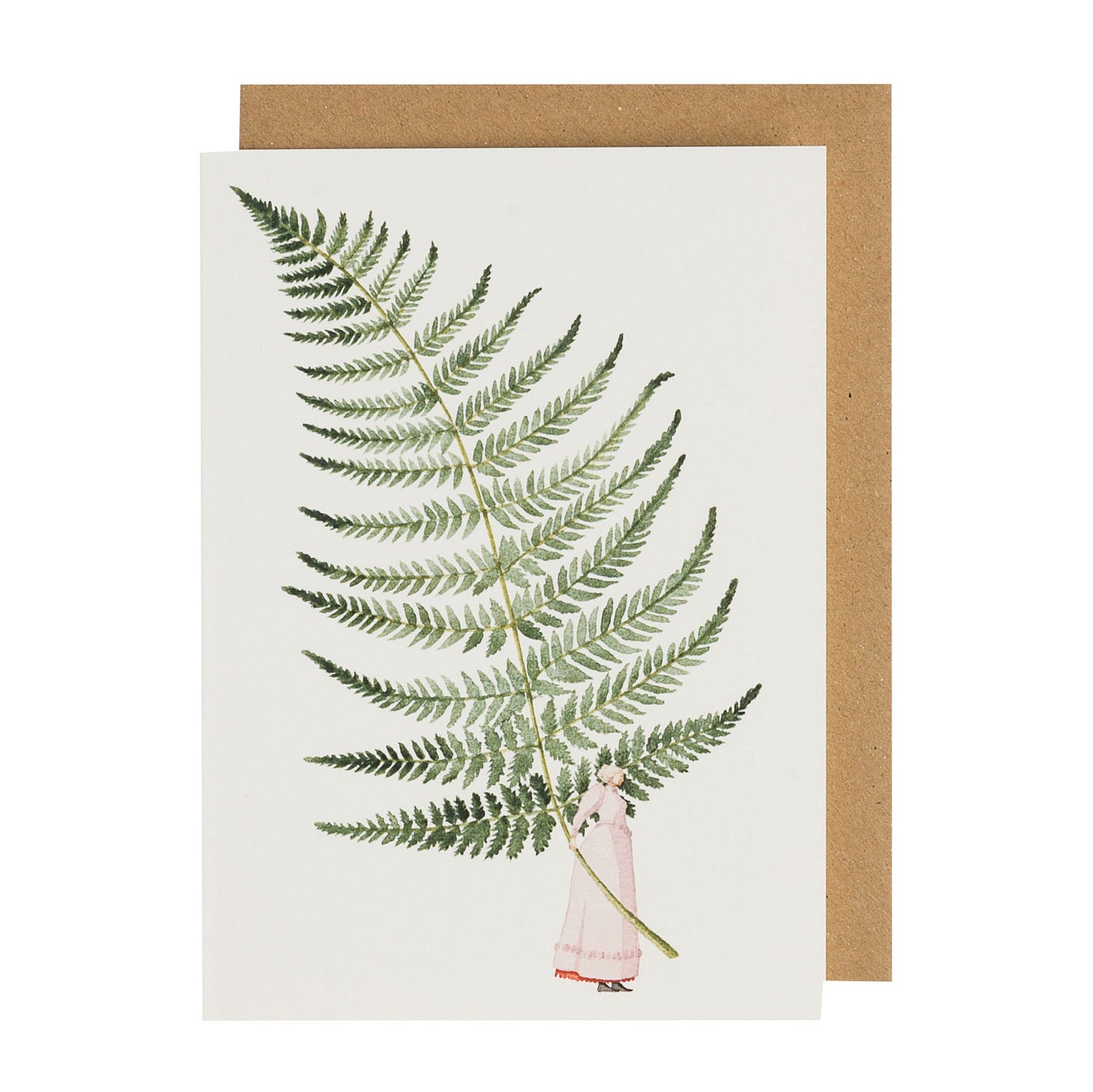 environmentally sustainable paper, compostable packaging, recycled paper, made in england, illustration, ferns