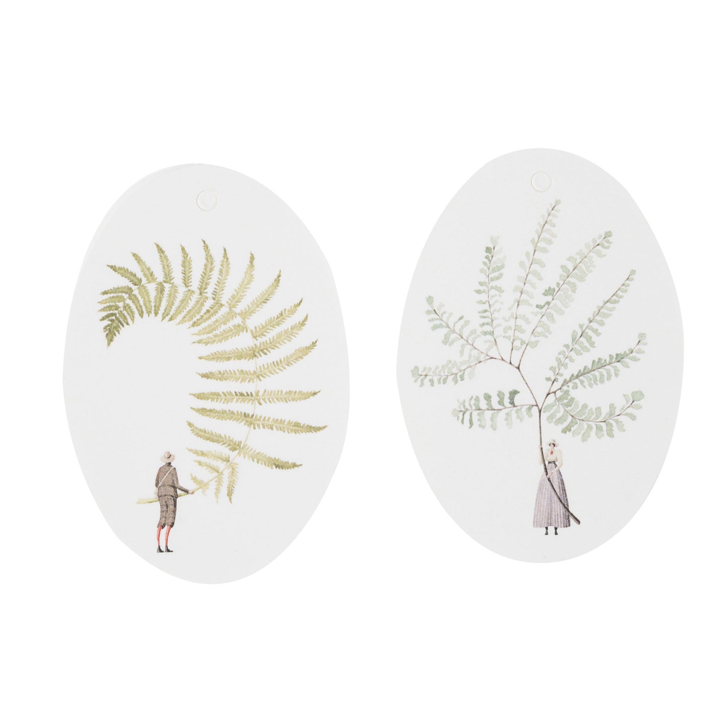 gift tags, tags, ferns, made in england, illustration