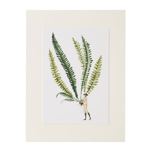 giclee print, mounted print, print, illustration, made in england, ferns, archival paper, art print