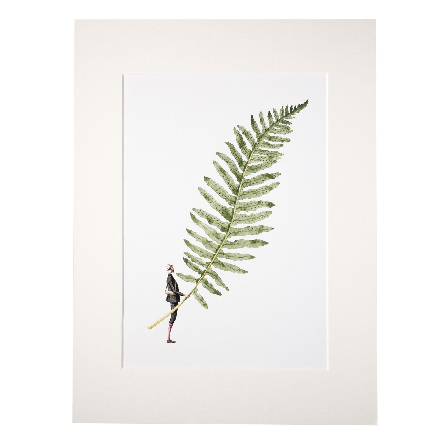 giclee print, mounted print, print, illustration, made in england, ferns, archival paper, art print