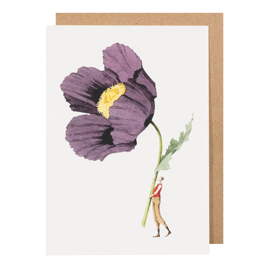 environmentally sustainable paper, compostable packaging, recycled paper, made in england, illustration, poppy, flowers