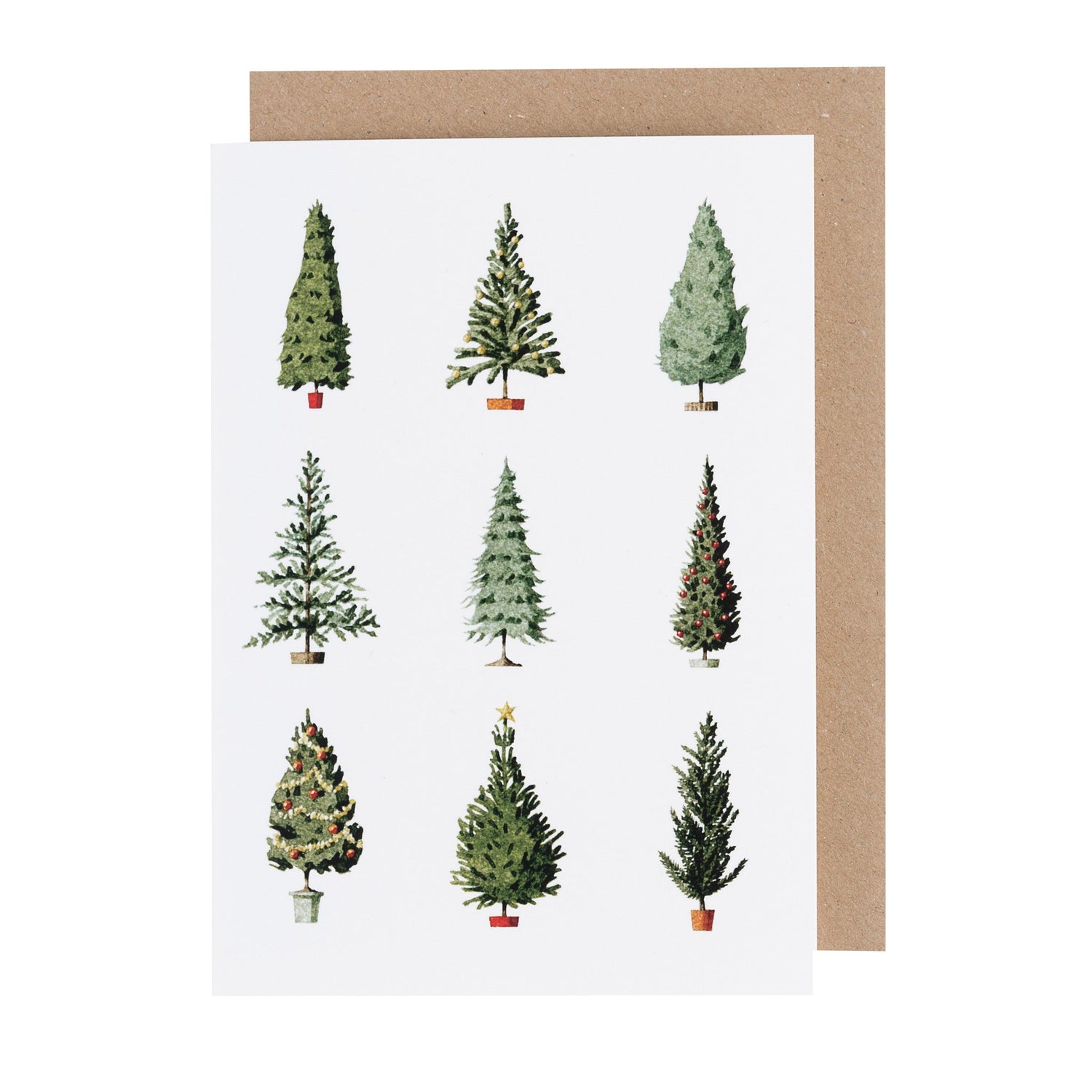 environmentally sustainable paper, compostable packaging, recycled paper, made in england, illustration, christmas trees, christmas