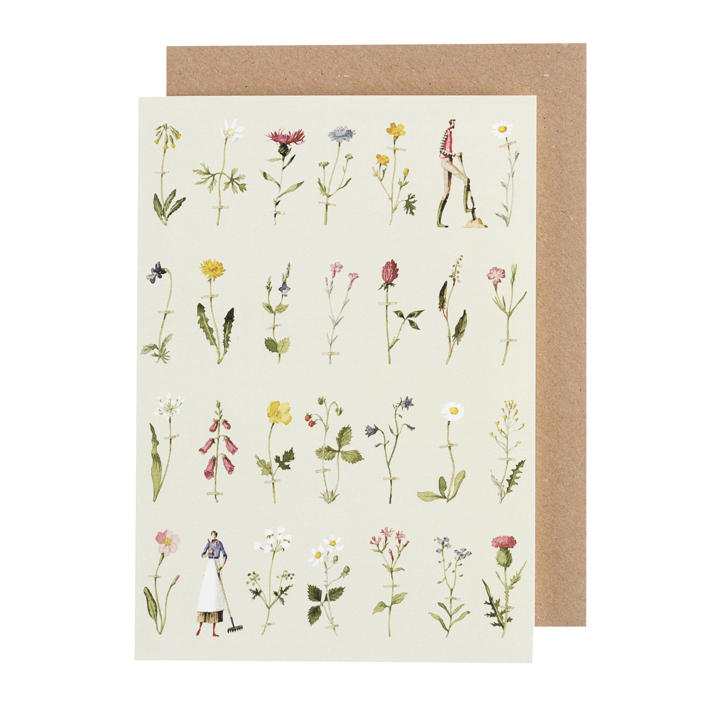 environmentally sustainable paper, compostable packaging, recycled paper, made in england, illustration, wild flowers, flowers