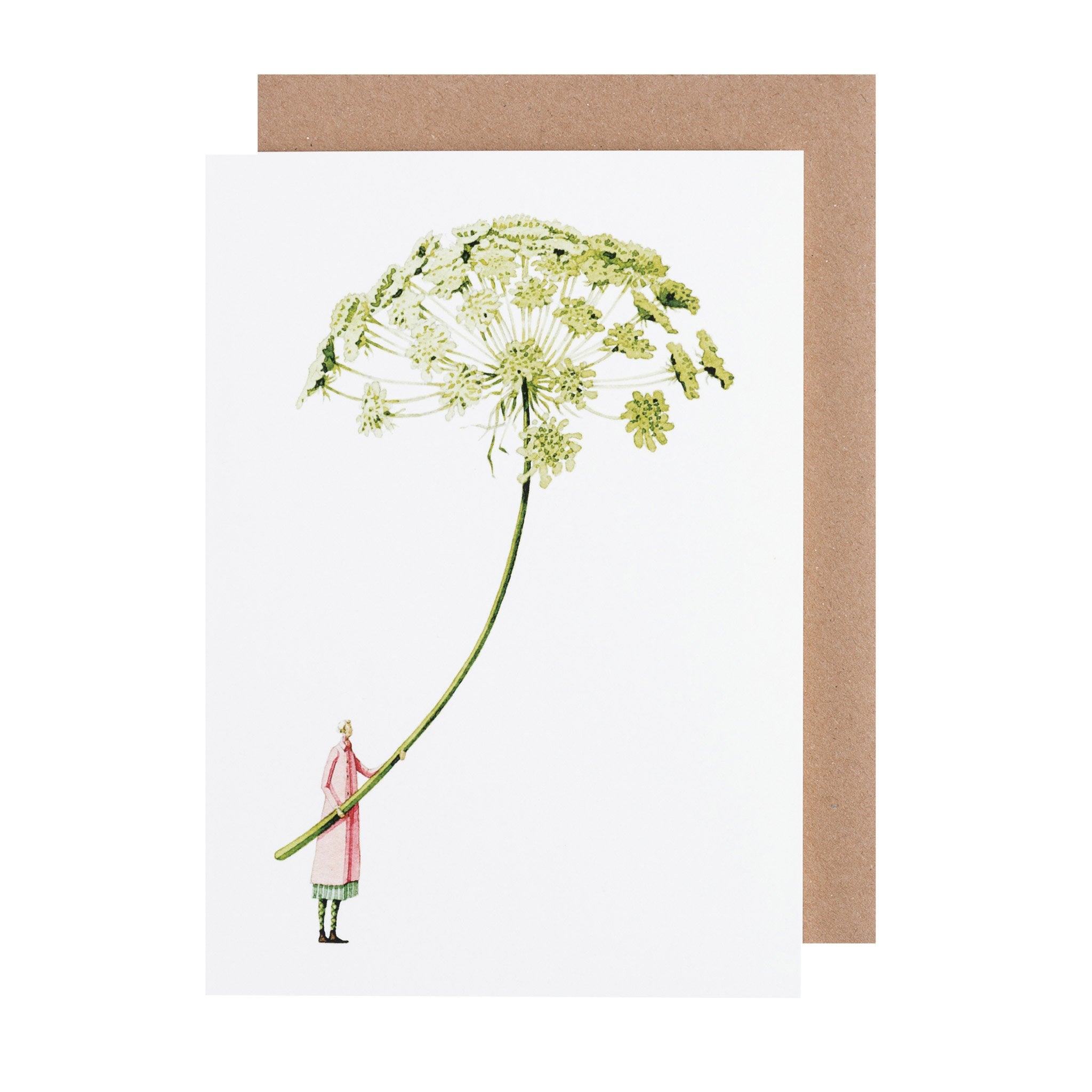 Greetings Card - Green Ammi – Laura Stoddart Illustrator