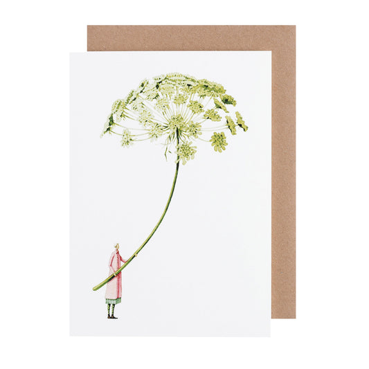 environmentally sustainable paper, compostable packaging, recycled paper, made in england, illustration, ammi, flowers