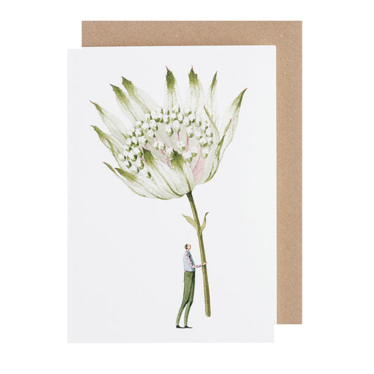 environmentally sustainable paper, compostable packaging, recycled paper, made in england, illustration, astrantia, flowers
