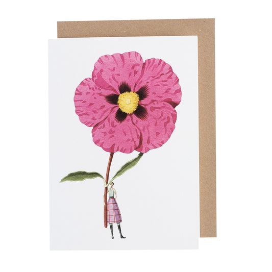 environmentally sustainable paper, compostable packaging, recycled paper, made in england, illustration, cistus, flowers