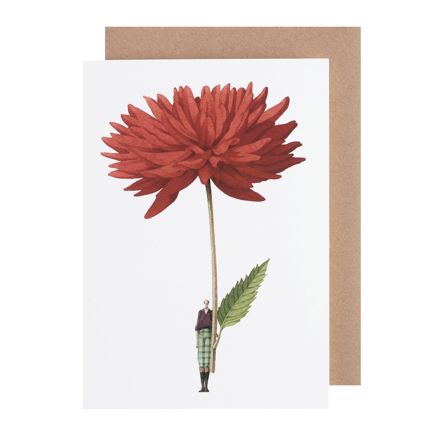 environmentally sustainable paper, compostable packaging, recycled paper, made in england, illustration, dahlia, flowers