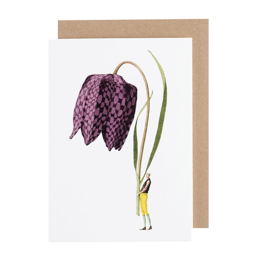 environmentally sustainable paper, compostable packaging, recycled paper, made in england, illustration, fritillary, flowers