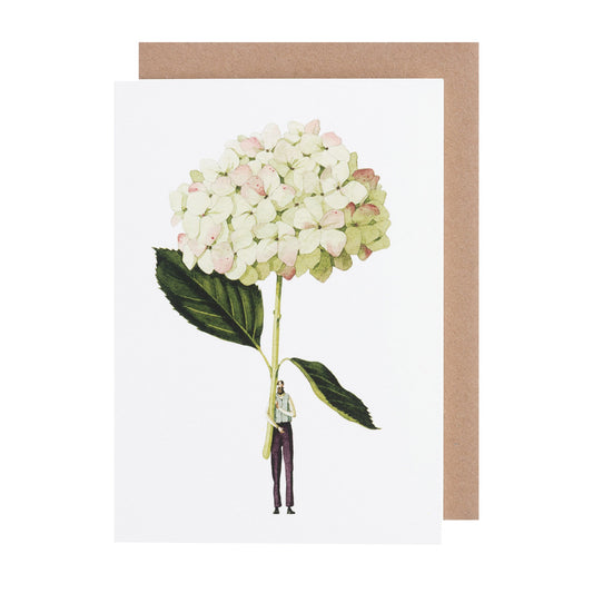 environmentally sustainable paper, compostable packaging, recycled paper, made in england, illustration, hydrangea, green flowers