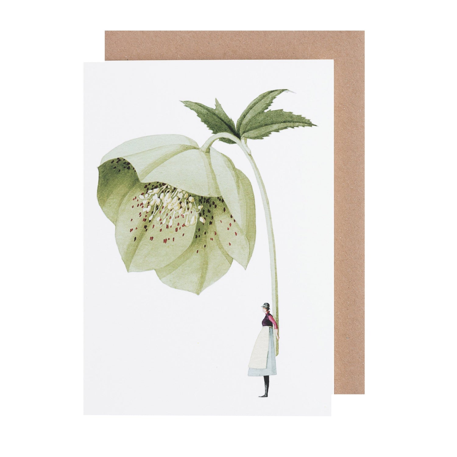 environmentally sustainable paper, compostable packaging, recycled paper, made in england, illustration, Hellebore, green flowers