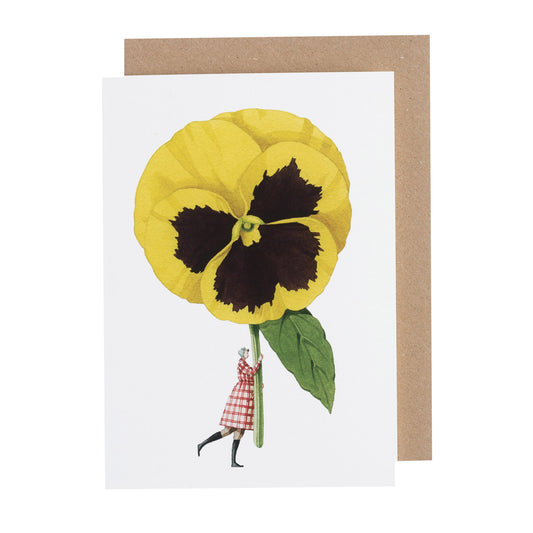environmentally sustainable paper, compostable packaging, recycled paper, made in england, illustration, pansy, flowers