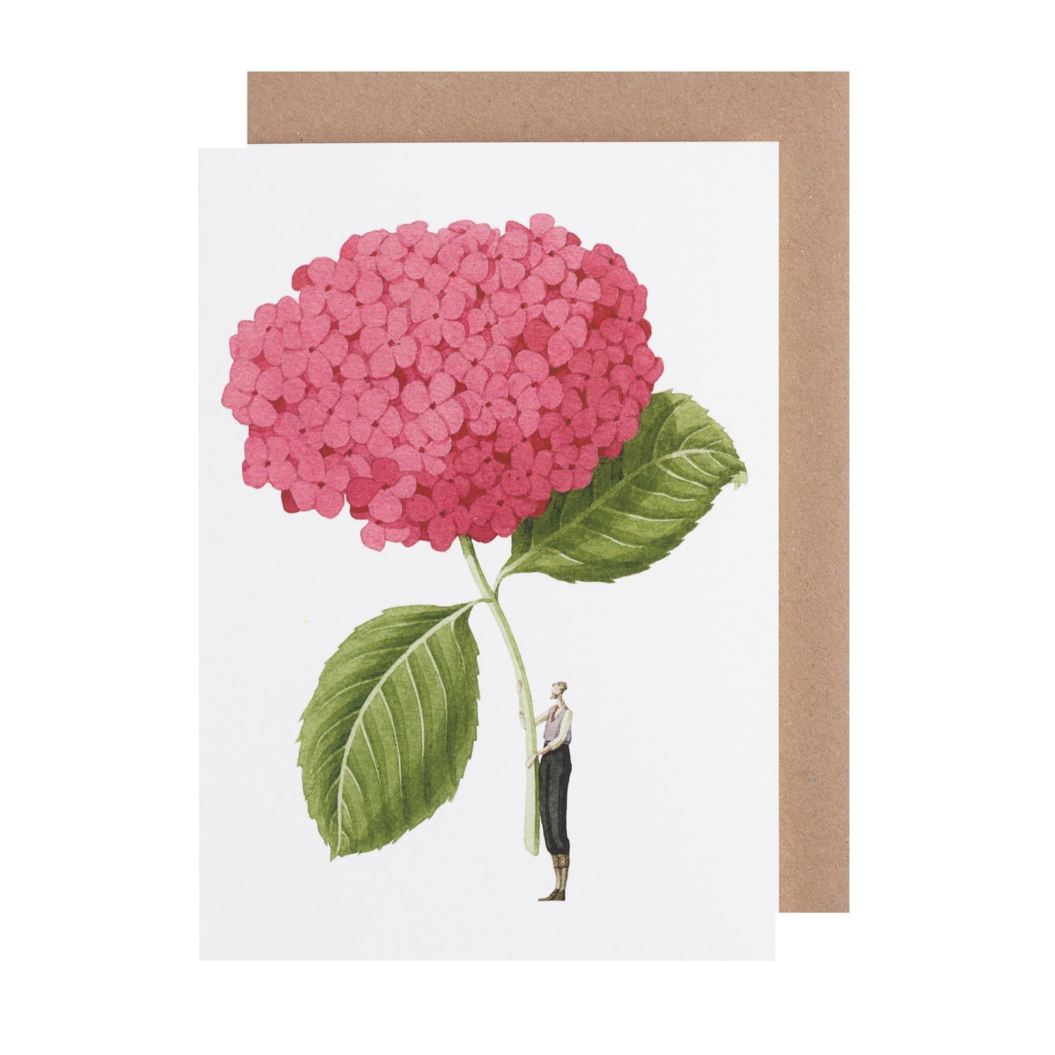 environmentally sustainable paper, compostable packaging, recycled paper, made in england, illustration, pink hydrangea, flowers