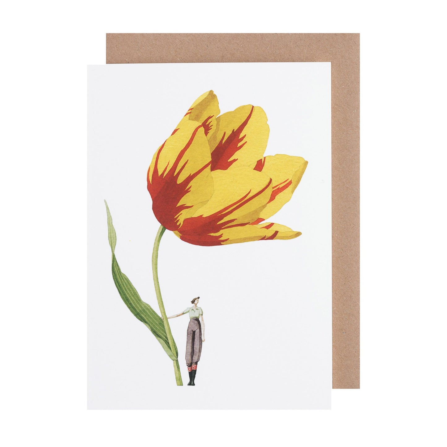 environmentally sustainable paper, compostable packaging, recycled paper, made in england, illustration, tulip, flowers