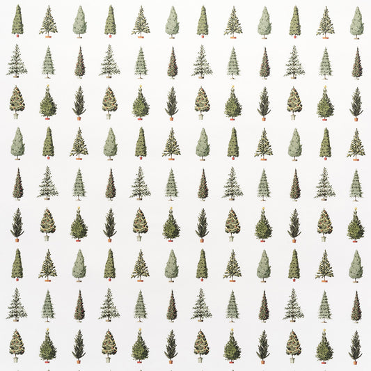 giftwrap, wrapping paper, fsc paper, made in england, illustration, christmas trees, christmas