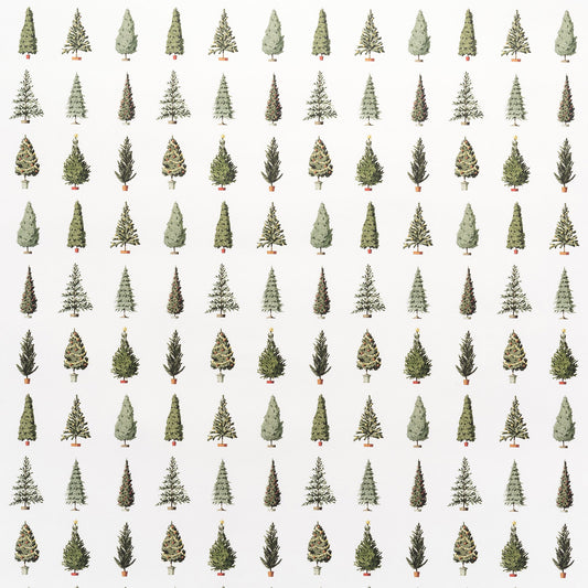 giftwrap, wrapping paper, fsc paper, made in england, illustration, christmas trees, christmas
