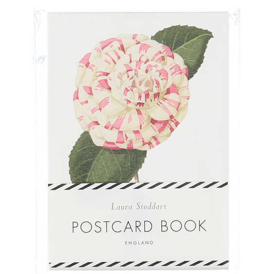 Postcards, Postcard book, fsc paper, made in england, illustration, flowers