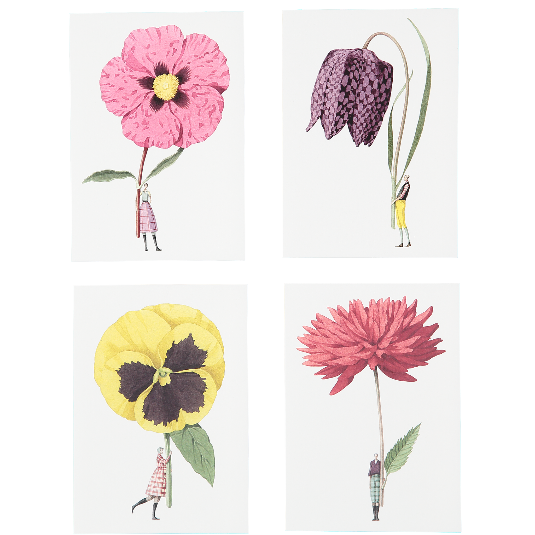 Laura Stoddart Catalogue Spring - Summer 2023 by Laura