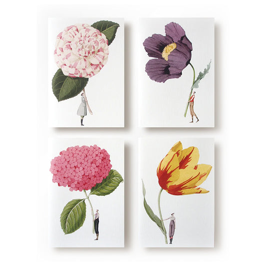 fsc paper, notecards, made in england, illustration, flowers