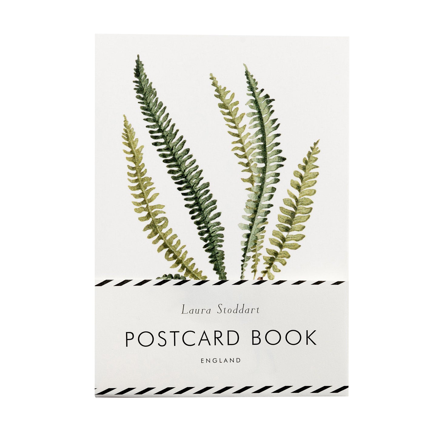 postcards, postcard book, fsc paper, made in england, illustration, ferns, green flowers, flowers