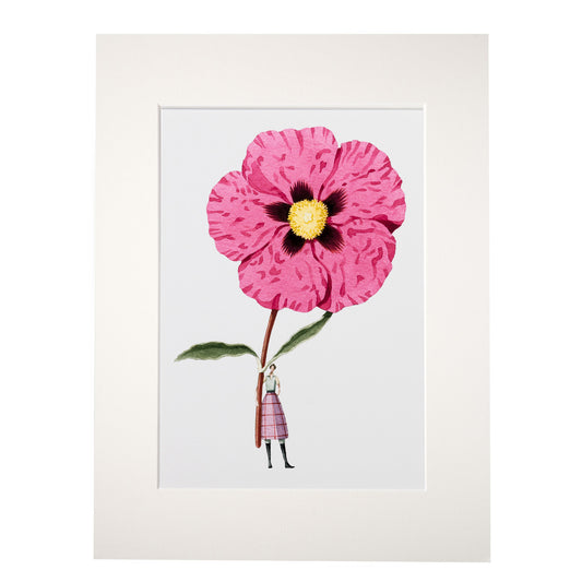 giclee print, mounted print, print, cistus, illustration, made in england, flowers, archival paper, art print