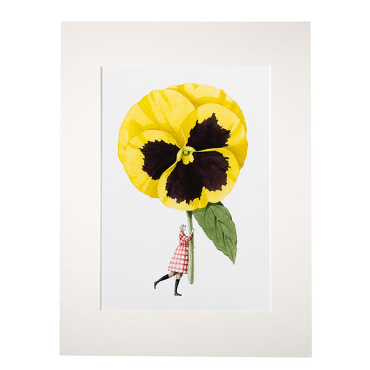 giclee print, mounted print, print, pansy, illustration, made in england, flowers, archival paper, art print