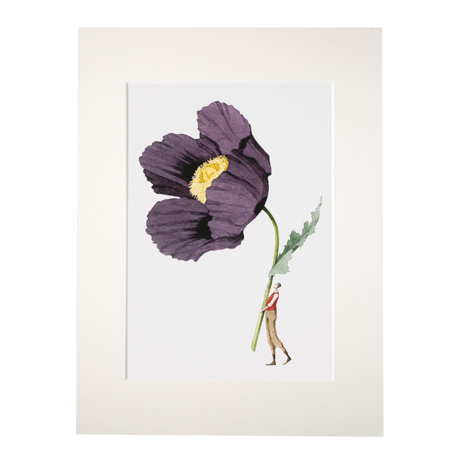 giclee print, mounted print, print, poppy, illustration, made in england, flowers, archival paper, art print