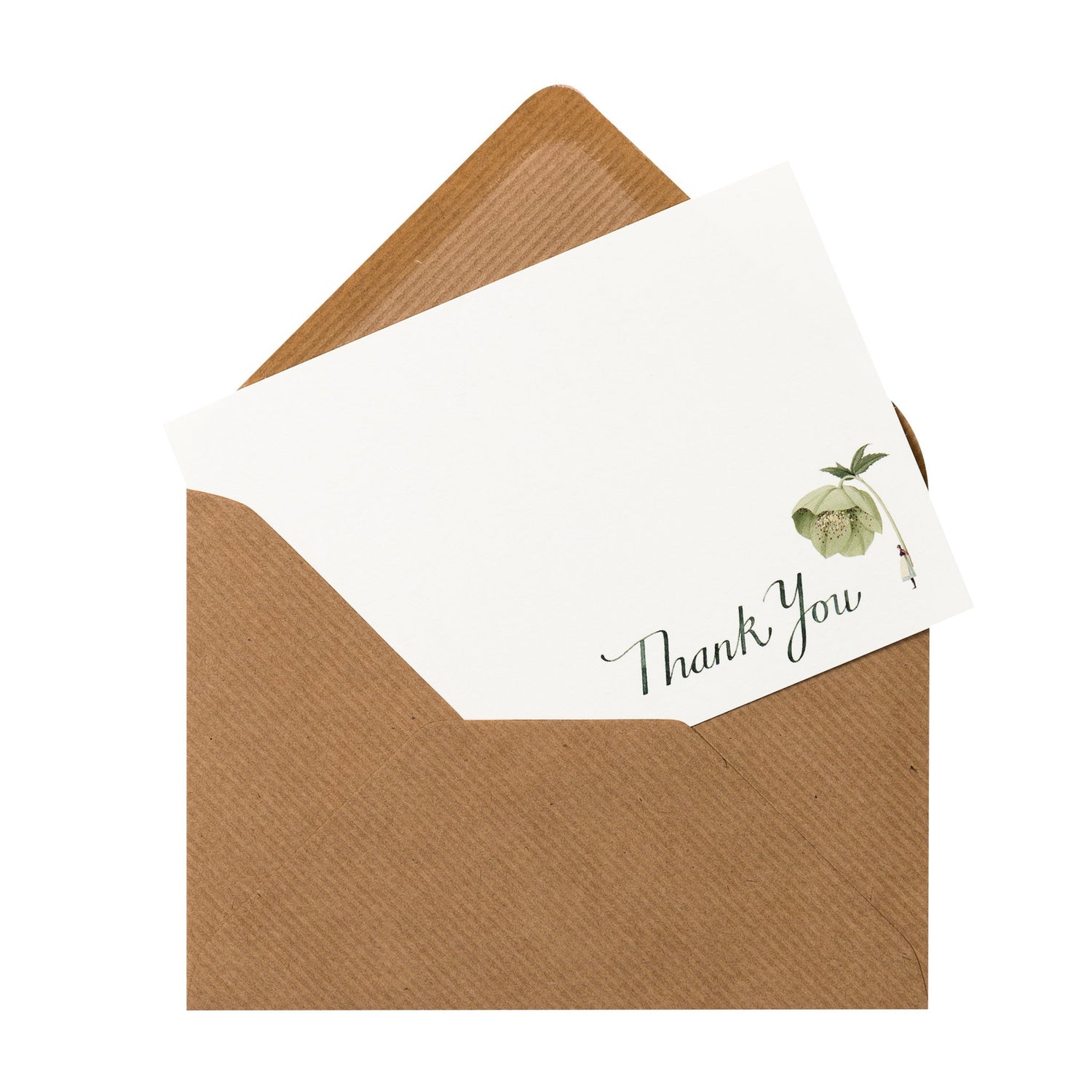 fsc paper, flatnotes, thank you notes, green flowers, hellebore, illustration, flowers, compostable, made in england