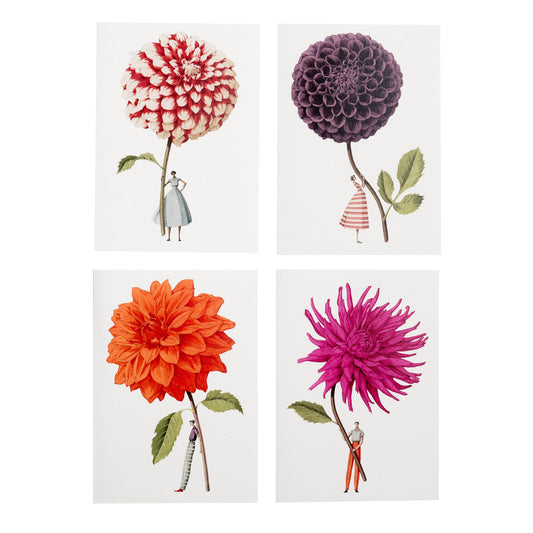 fsc paper, notecards, made in england, illustration, flowers, dahlias