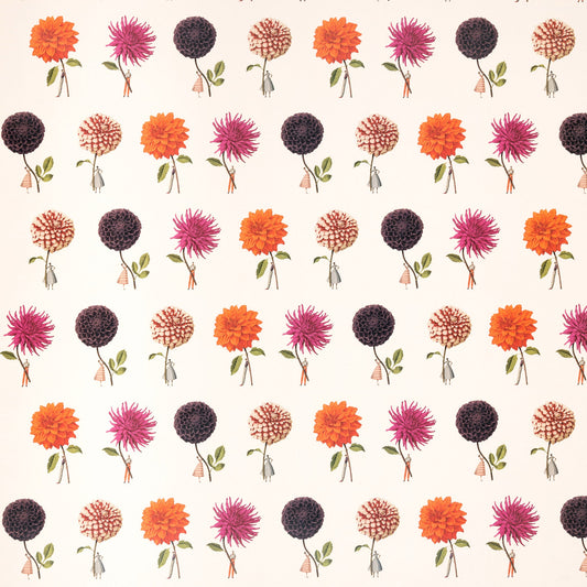 giftwrap, wrapping paper, fsc paper, made in england, illustration, flowers, dahlias