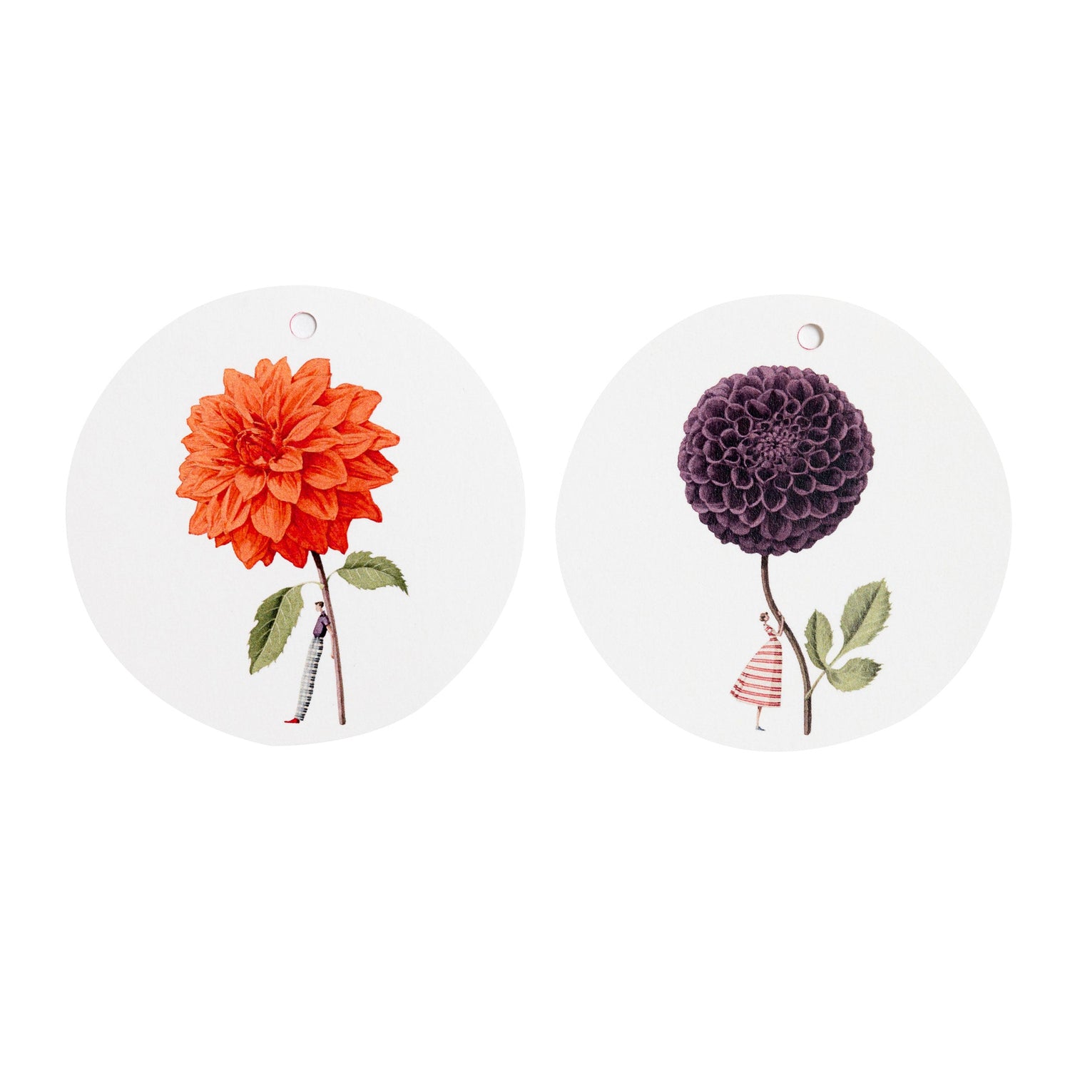 gift tags, tags, dahlias, flowers, made in england, illustration