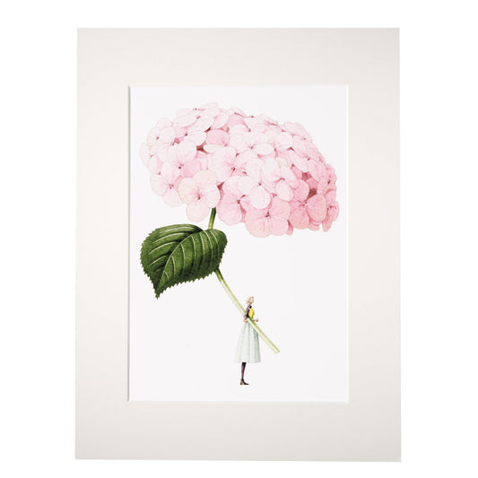 Pink Hydrangea "In Bloom" (pale pink)