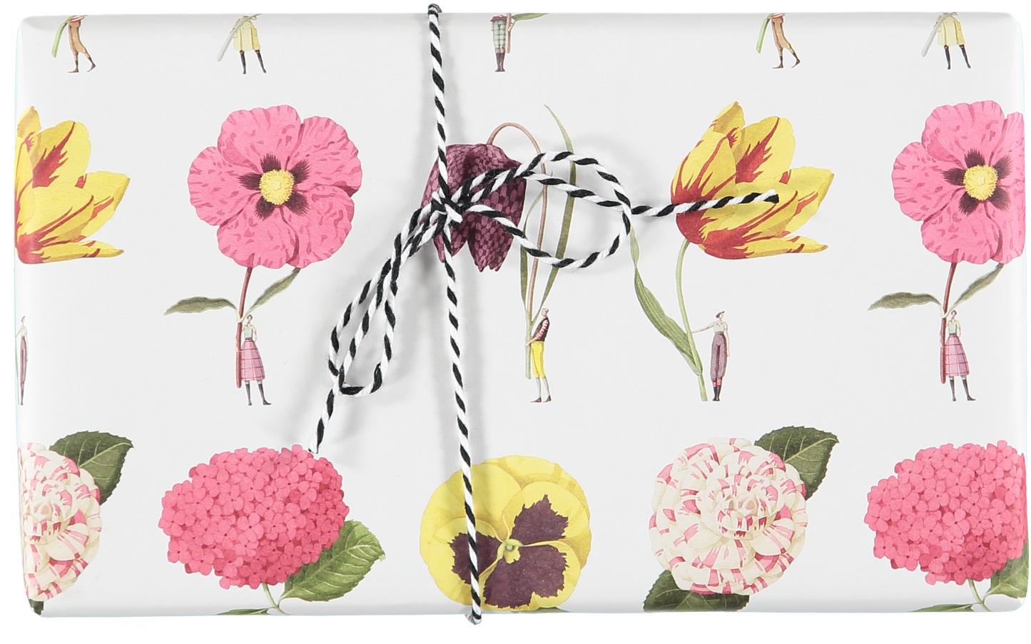 giftwrap, wrapping paper, fsc paper, made in england, illustration, flowers