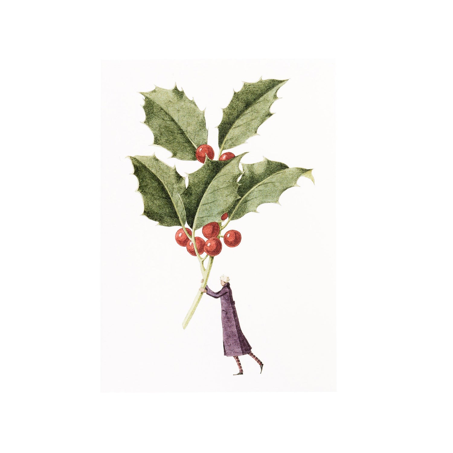 fsc paper, Christmas cards, made in england, illustration, holly, mistletoe, christmas