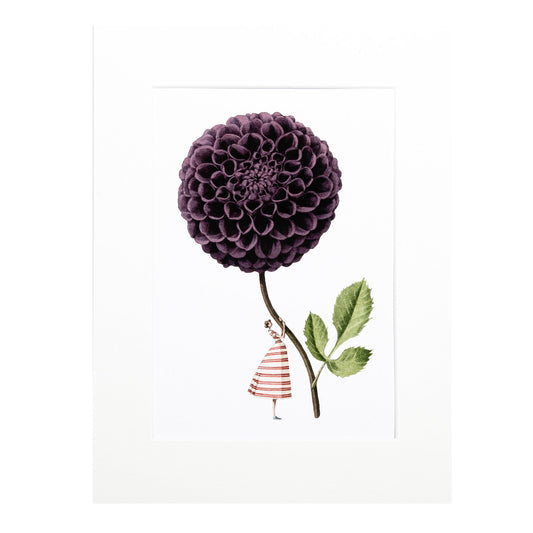 giclee print, mounted print, print, ammi, illustration, made in england, dahlias, archival paper, art print
