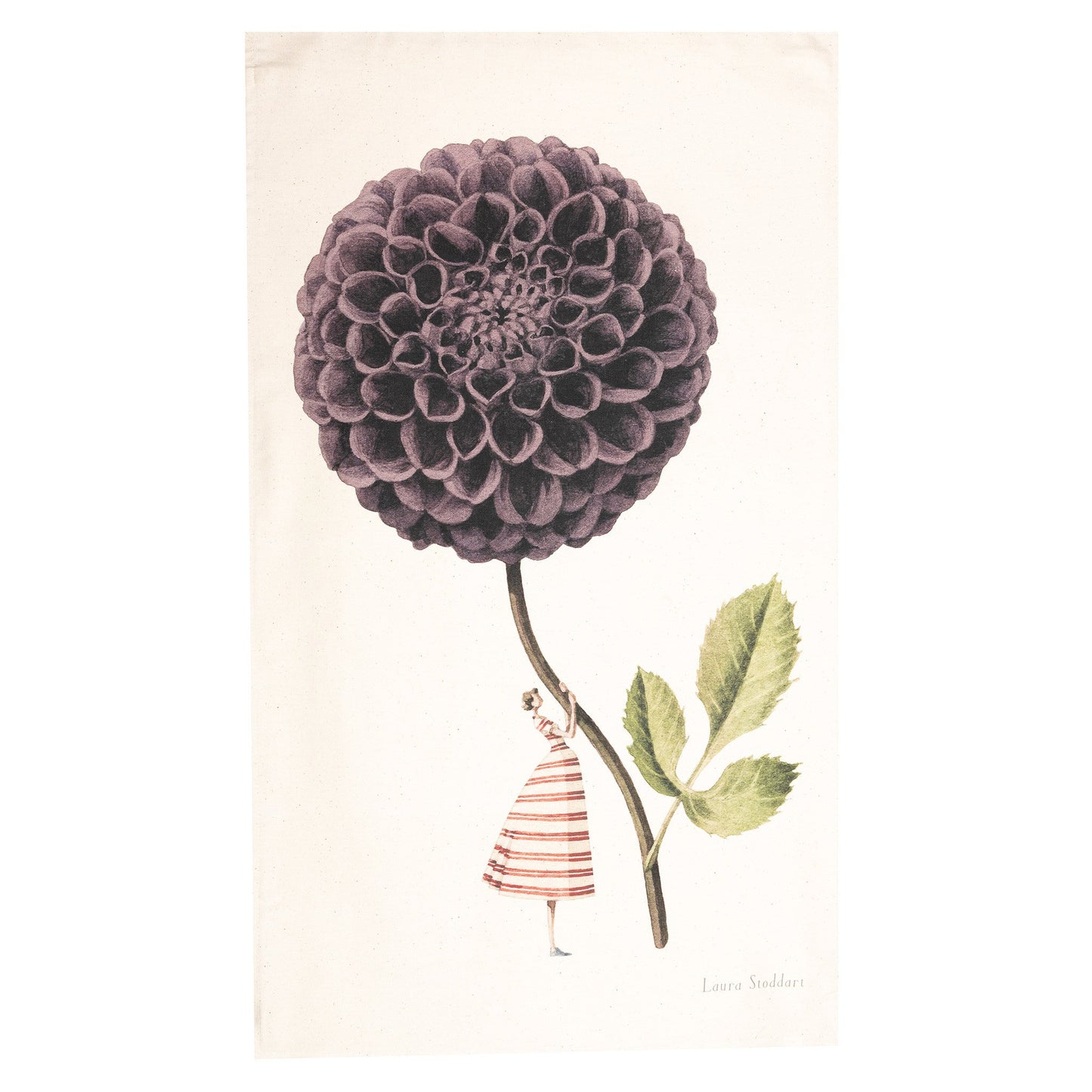 tea towel, unbleached cotton, illustration, dahlia, flowers, made in england