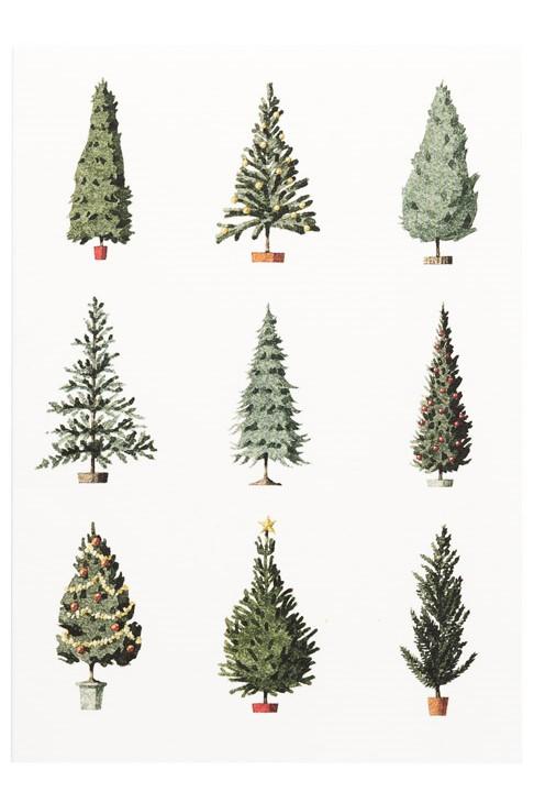 fsc paper, Christmas cards, made in england, illustration, christmas trees, christmas